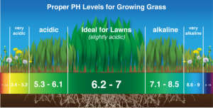talaj PH érték skála füvesítéshez